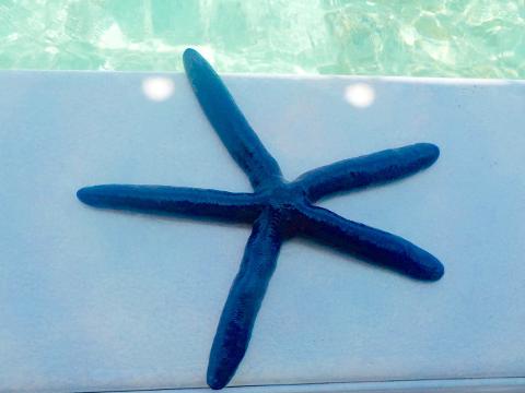 Katchalot Leisure Charter (4 hrs)
