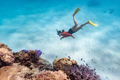 Ningaloo Reef Snorkel Adventure