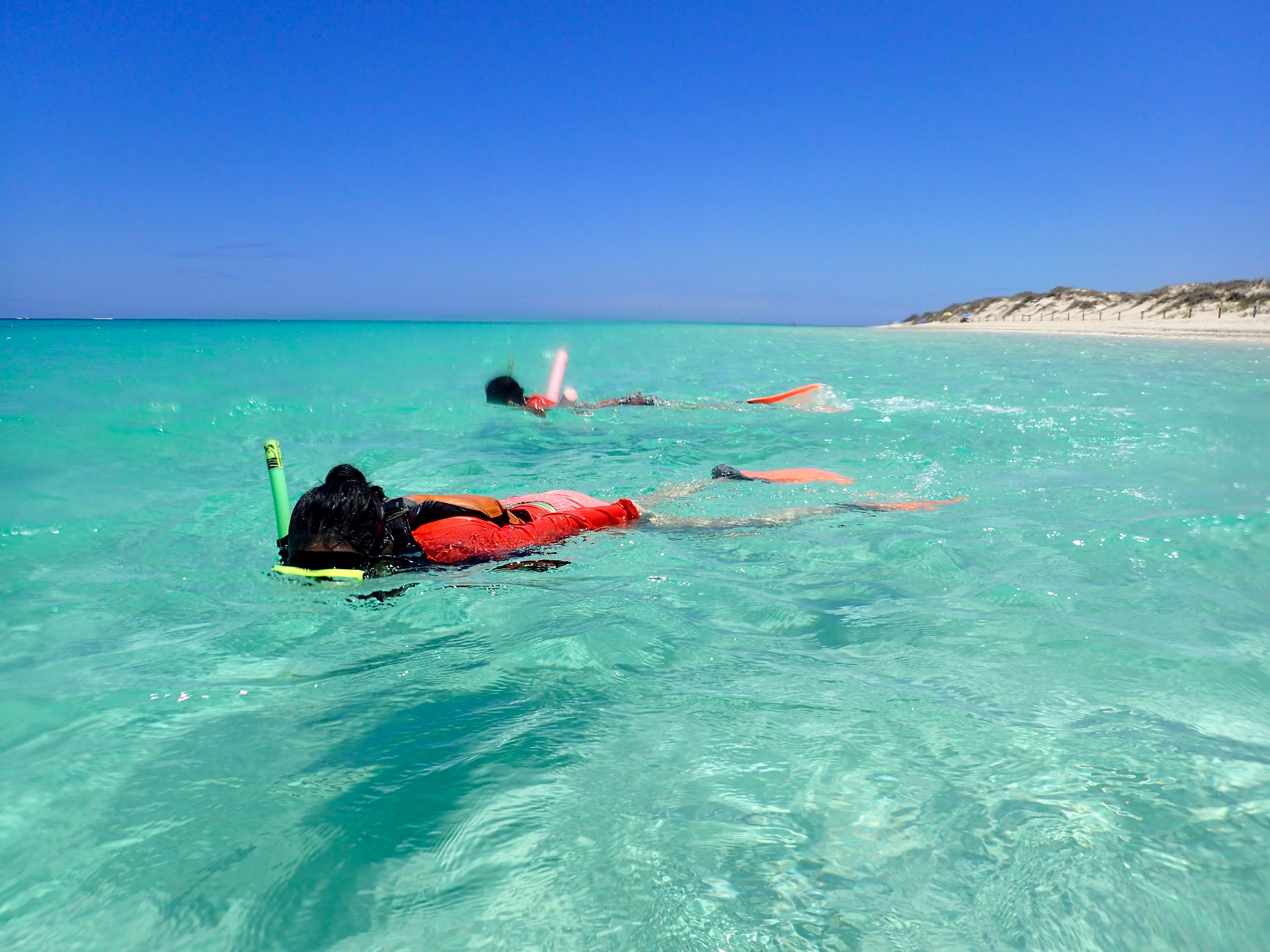 Ningaloo Reef Snorkel Adventure
