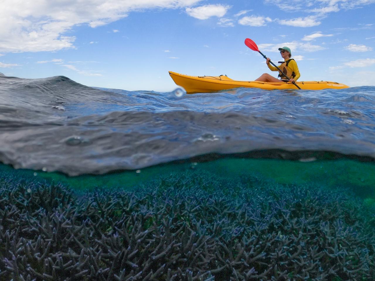 Coral By Kayak