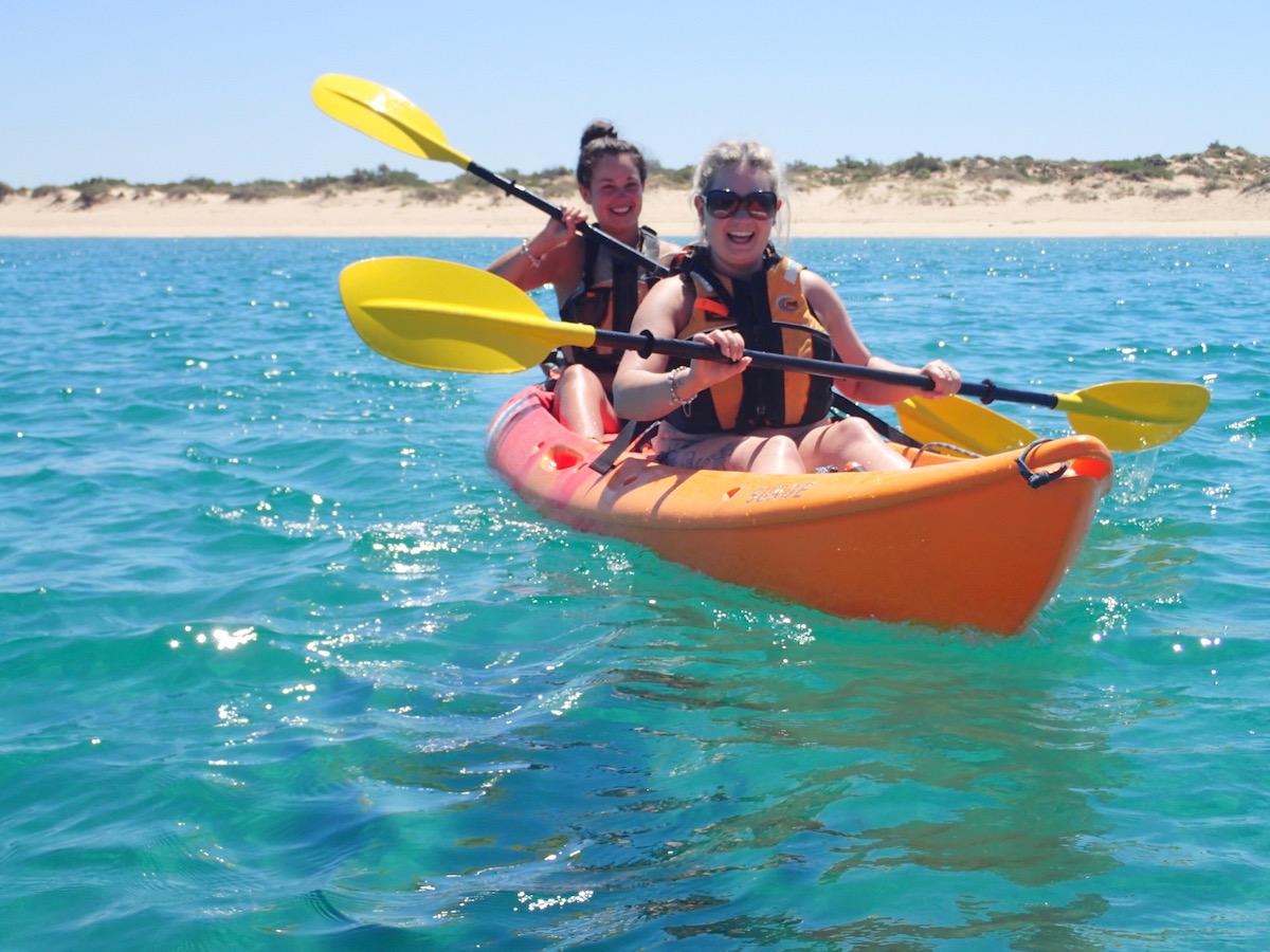 Arvo Cruiser - Half Day Kayak & Snorkel Tour