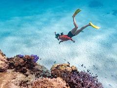 Ningaloo Reef Snorkel Adventure