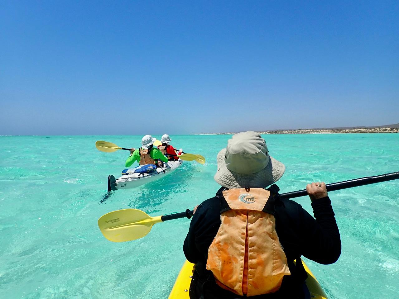 5 Day Ultimate Safari | 5-Day Sea Kayak, Snorkel, Gorge Walk and Base Camp Tour