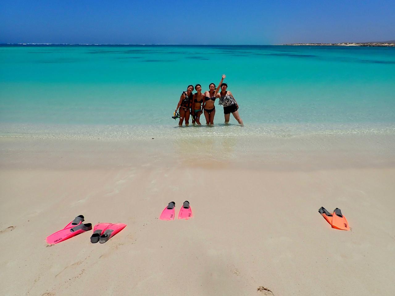 Turquoise Bay Snorkel Tour Exmouth Adventure Co Reservations