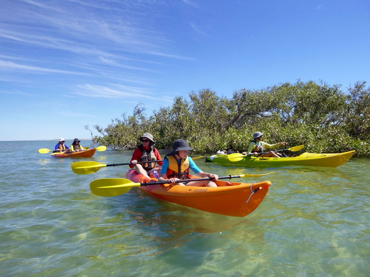 Turtle Tour - Half Day Sea Kayak & Snorkel Tour