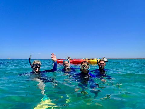 Turtle_Tour_Snorkellers_1