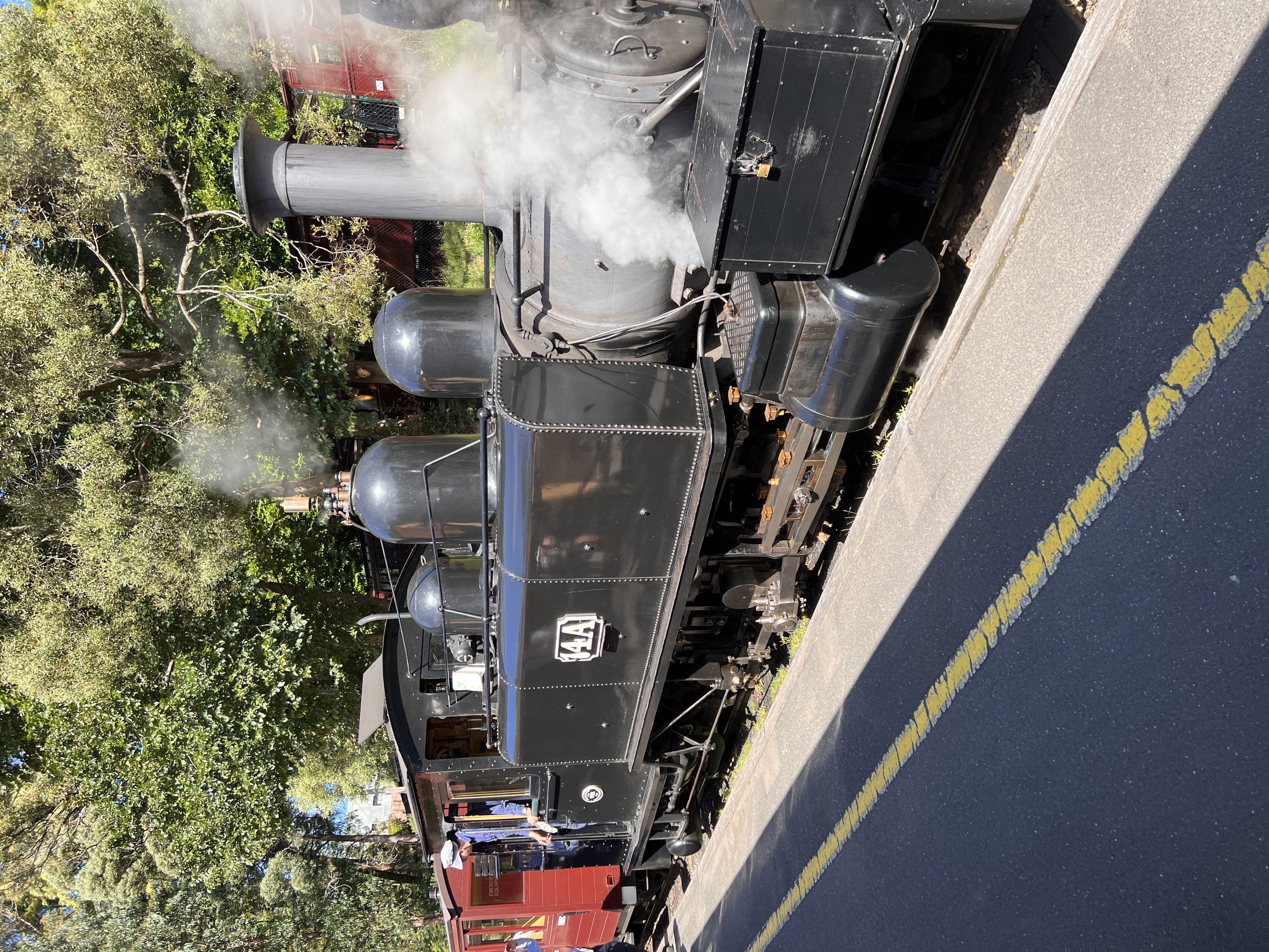 Puffing Billy and City Tour  Shore Excursion