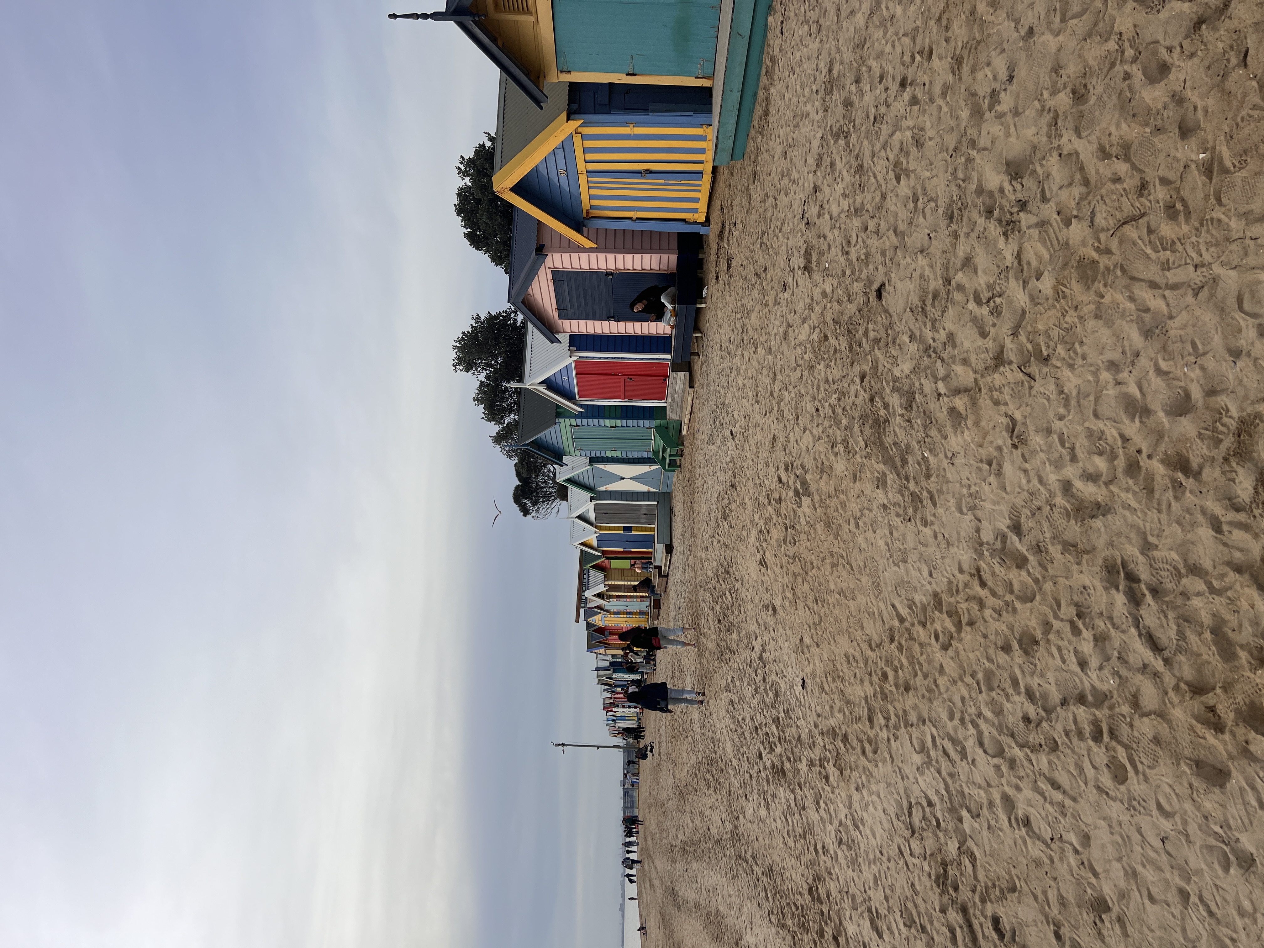 Puffing Billy and City Tour  Shore Excursion