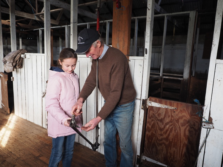 Great Ocean Road - 1 Day  Tour