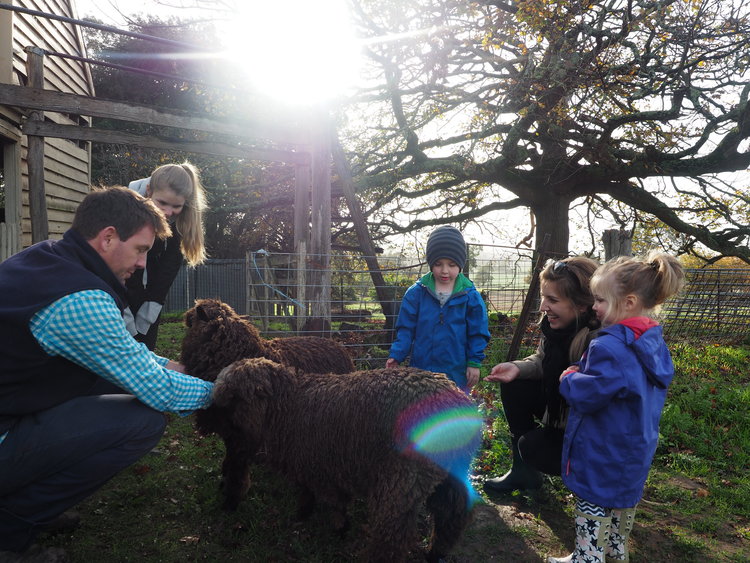 Great Ocean Road - 1 Day  Tour