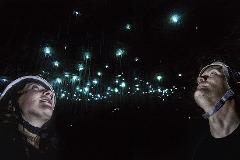 Gift Card - GlowWorm Cave Tour