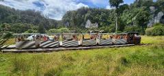 Gift Card - Nile River Rainforest Train