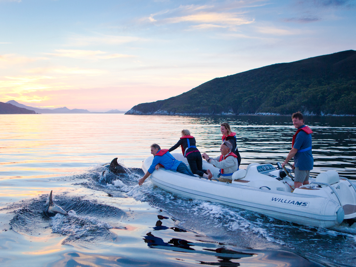 ESCAPE TO PORT DAVEY // 4-Day expedition cruise in Southwest Tasmania // Deluxe Cabin