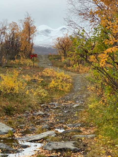 ABISKO NATIONAL PARK HIKE - AUTUMN