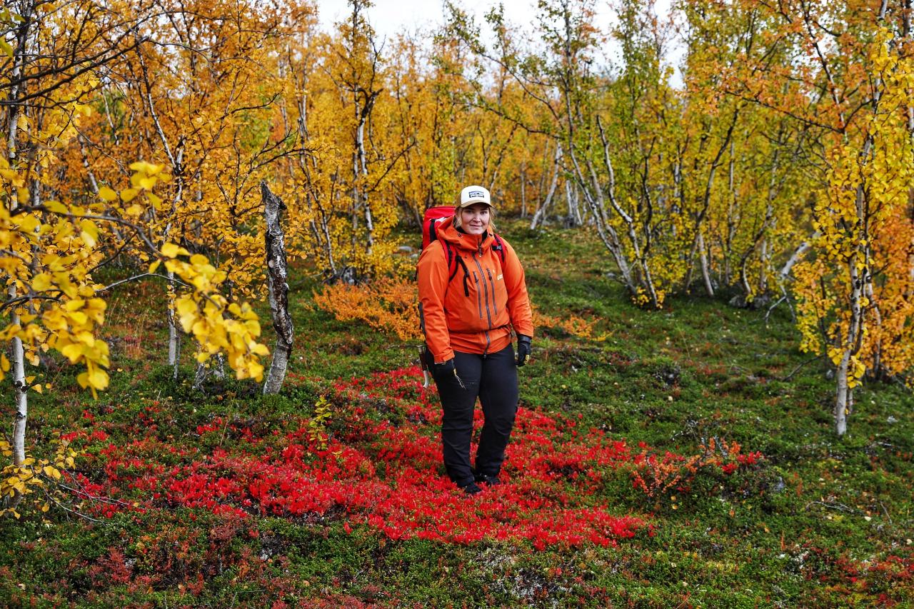 WHOLE DAY HIKE IN ABISKO