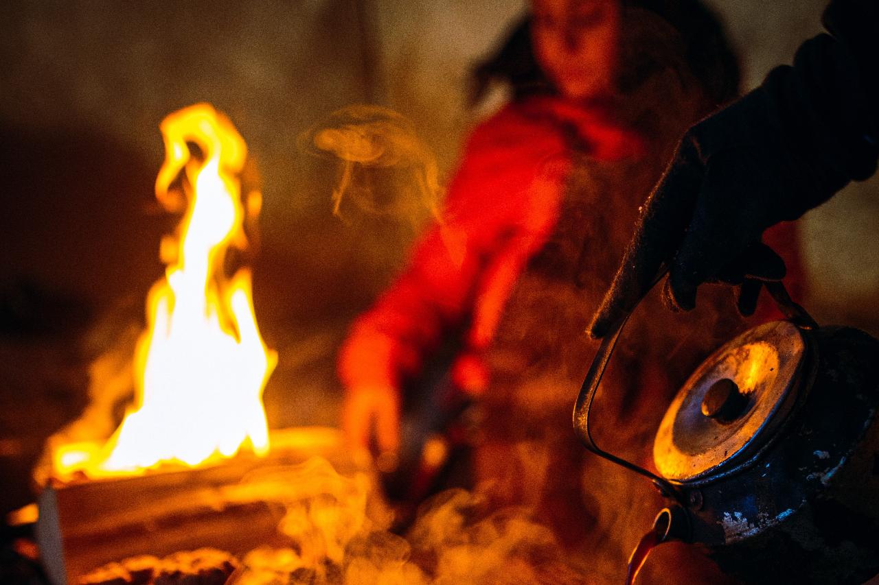 TASTE OF ABISKO