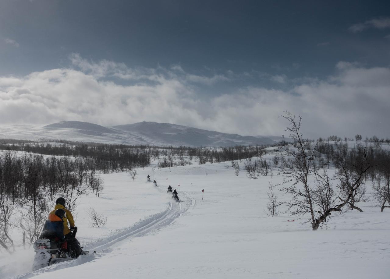 ABISKO - Snowmobile tour 2,5 h