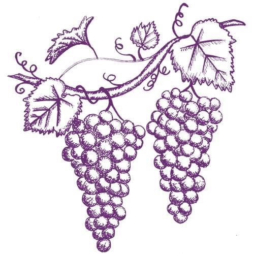 38 Passenger Executive Coach Bus Service with a 6 Hour Minimum @ $140/Hr. Everyday. No Distance or Fuel Fee. Available For Wine Tour and Airport Transfers.