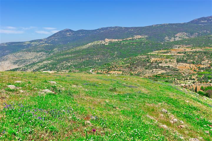 Galilee and Golan 2 days (2+Travelers, 3* Hotel)