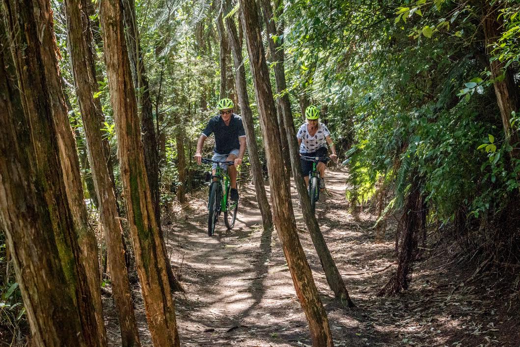 Combo: Bike & Kayak Hire with Arapuni Shuttle