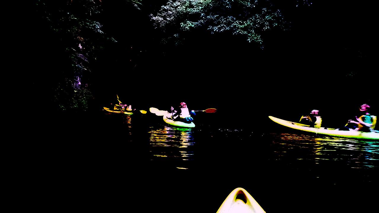 Kayak Glow Worm Tour