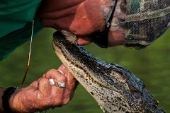 Airboat Adventures - Large Airboat - Drive Yourself To The Dock - $59 per person