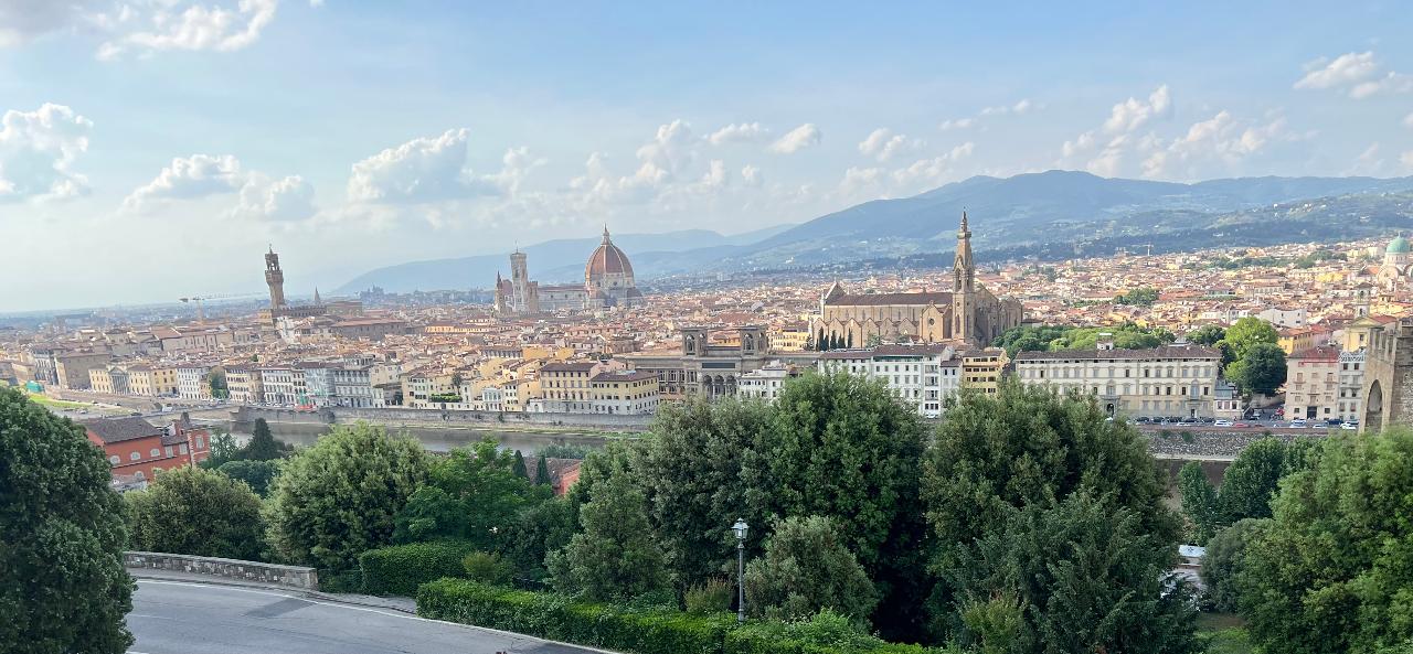 L-0021 PRIVATE From LIVORNO to Florence and Pisa €952