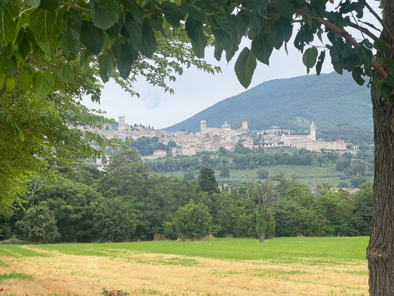 Integration Pilgrimages ITALY (Rome-Assisi-Loreto) Roots & Renewal 