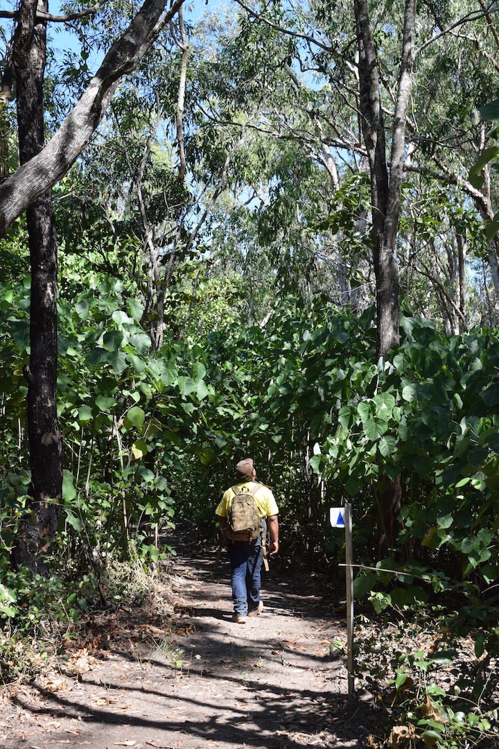 Brian Creek Walk