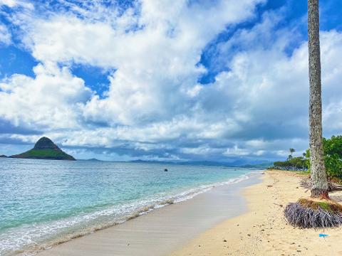 Oahu Island Experience feat. North Shore - Fun Group Hawaii