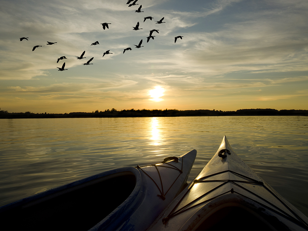 Sunset Kayak Tour