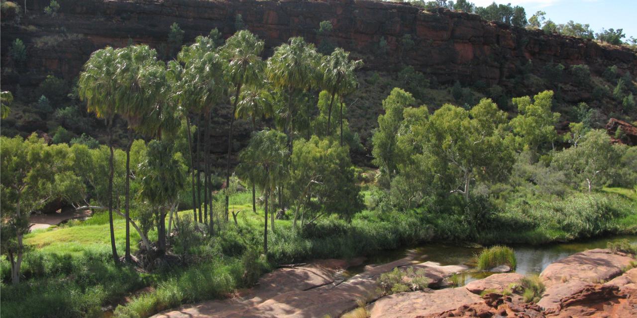 5 Day Best of The Red Centre