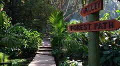 Private Best of Nadi Tour