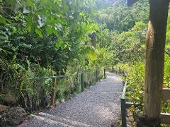 Sleeping Giant Garden and Mudpool/Hot Springs Tour in Fiji