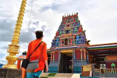 Private Tour: Nadi Half Day Tour 