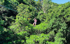  Largest Zipline in South Pacific & Cave Exploration from Sigatoka
