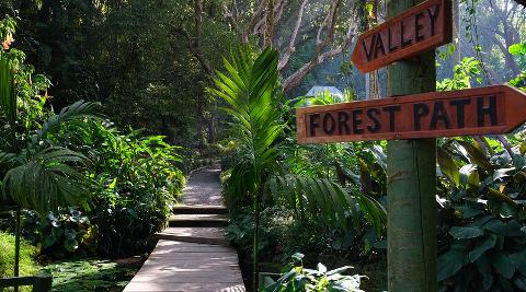 Private Tour: BEST OF NADI HIGHLIGTS