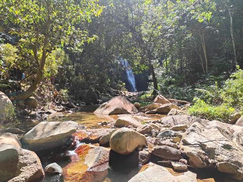 Sigatoka: Fiji Biausevu Jungle Hike & Waterfall Discovery with Kava Ceremony