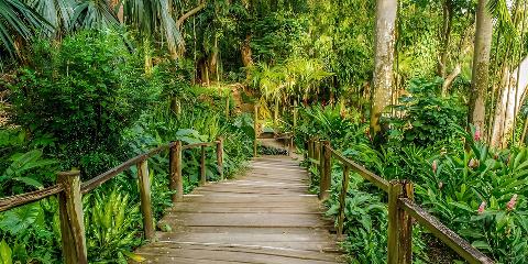 Custom Made Nadi Tour 