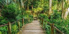 Custom Made Nadi Tour 