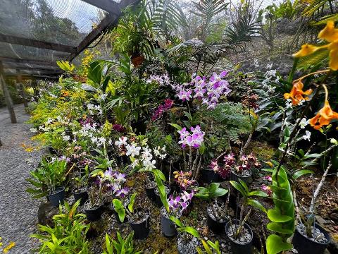 Private Tour: Hot spings & Sleeping Giant Garden hiking Adventure