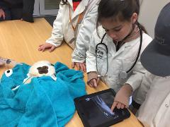 Tuesday 14th January: Animal Ambulance