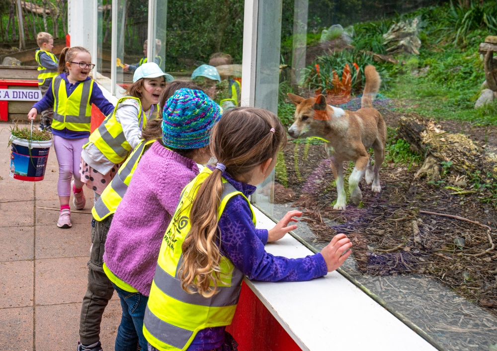 Monday 25th September Zoo Keeper Apprentice
