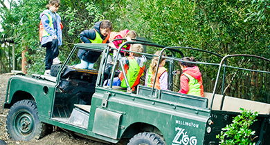 Wild Start : Summer Safari Smash