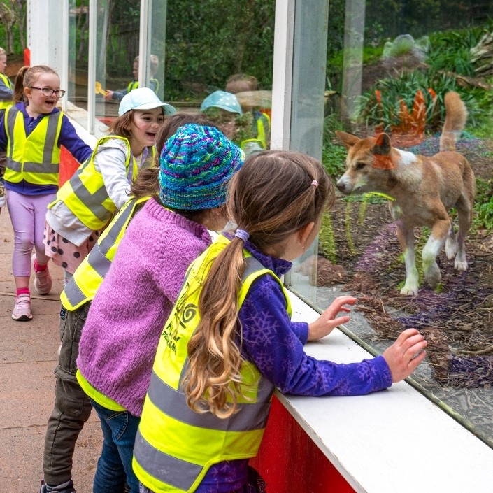 Thurs 10th July - Charismatic Carnivores - SHP