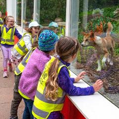 Thurs 10th July - Charismatic Carnivores - SHP