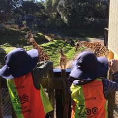 Friday 24th January: Summer Safari