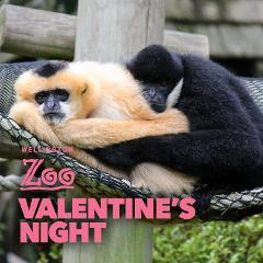 Valentine’s Night Entry Only (R18)