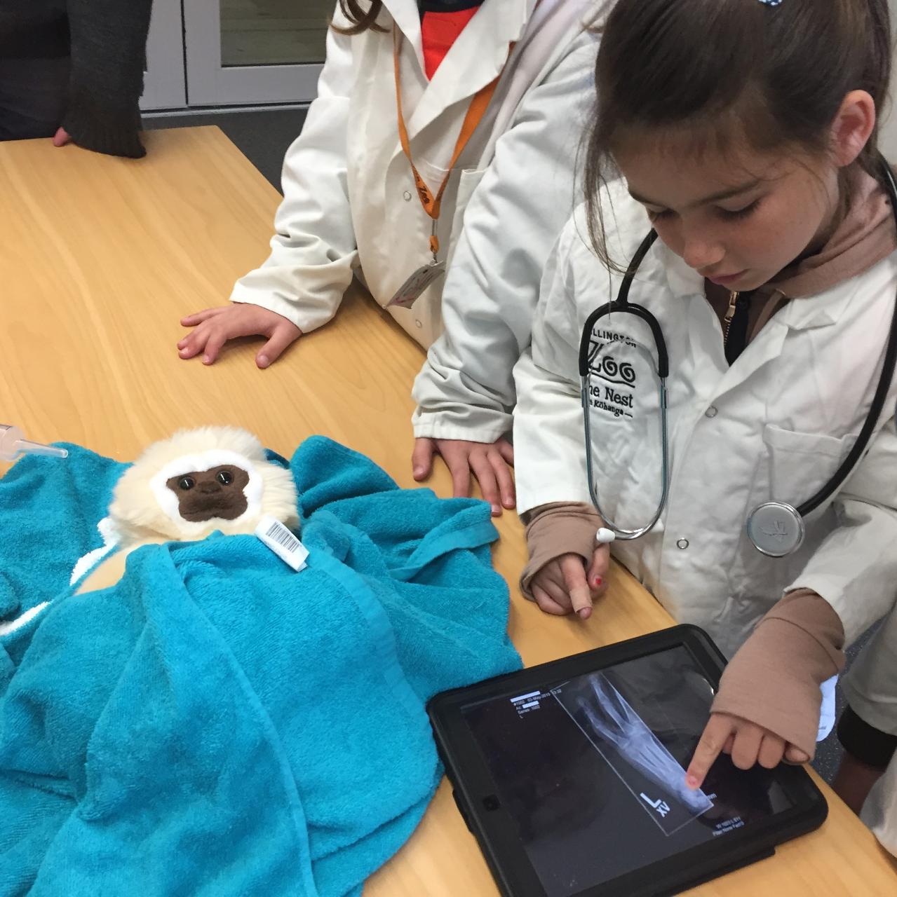 Monday 2nd October Animal Ambulance