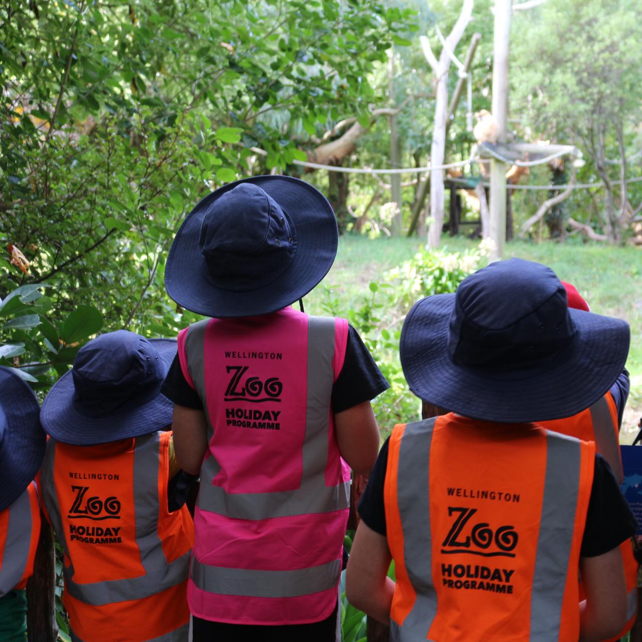 Thurs 3rd July - Zoo Detectives - SHP